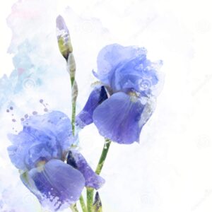 Bouquet de fleur surprise